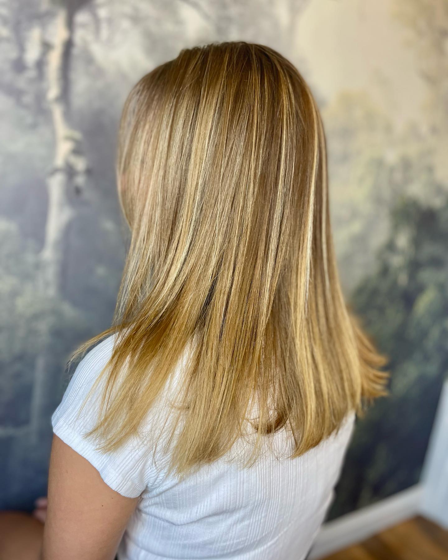 Natural blonde highlights with smooth straight finish